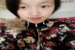 河北梆子全剧银达子